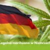 legalizacja marihuany w niemczech
